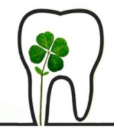 Клевер Дент (Clever Dent), стоматологія