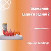 Ендокринне здоров'я родини 2 в Impulse Medical