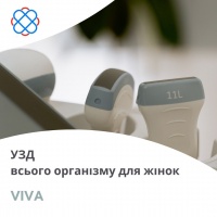 УЗД всього організму для жінок в клініці «VIVA»