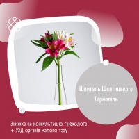 Знижка на консультацію гінеколога + УЗД органів малого тазу Шпиталь Шептицького Тернопіль