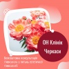 Безкоштовна консультація гінеколога з питань естетичної гінекології в ОН Клінік Черкаси