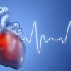 УЗИ сердца - Эхоардиография со скидкой в МЦ Доступный доктор