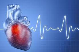 УЗИ сердца + консультация кардиолога со скидкой в Глобал Медик