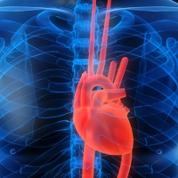Рентген сердца