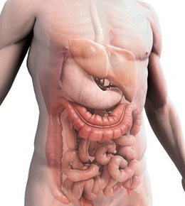 Дисбактериоз кишечника