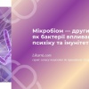 Мікробіом — другий мозок: як бактерії впливають на психіку та імунітет